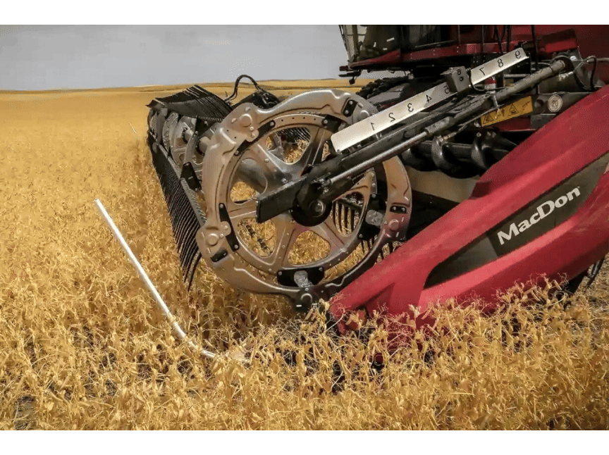 Жниварки зернові MacDon (FlexDraper) FD2